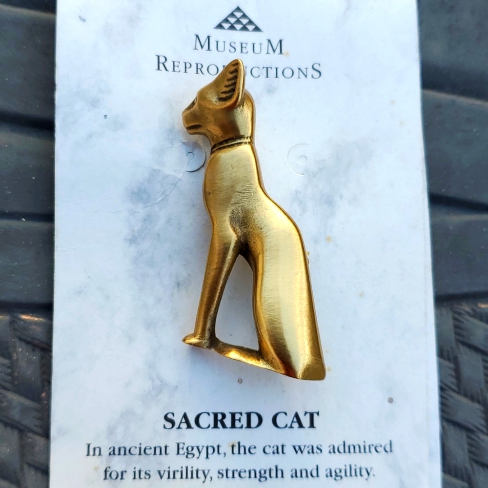 Cat brooch pin